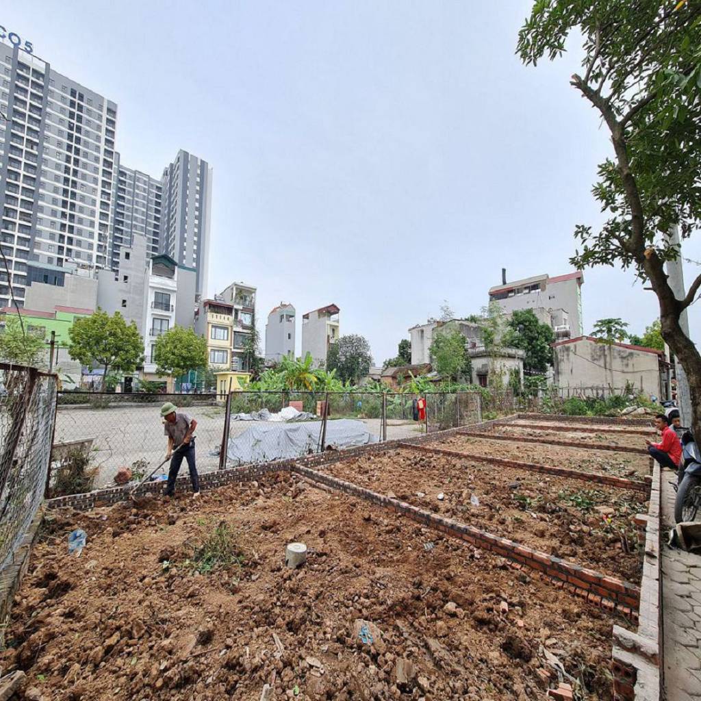 okevipp.com